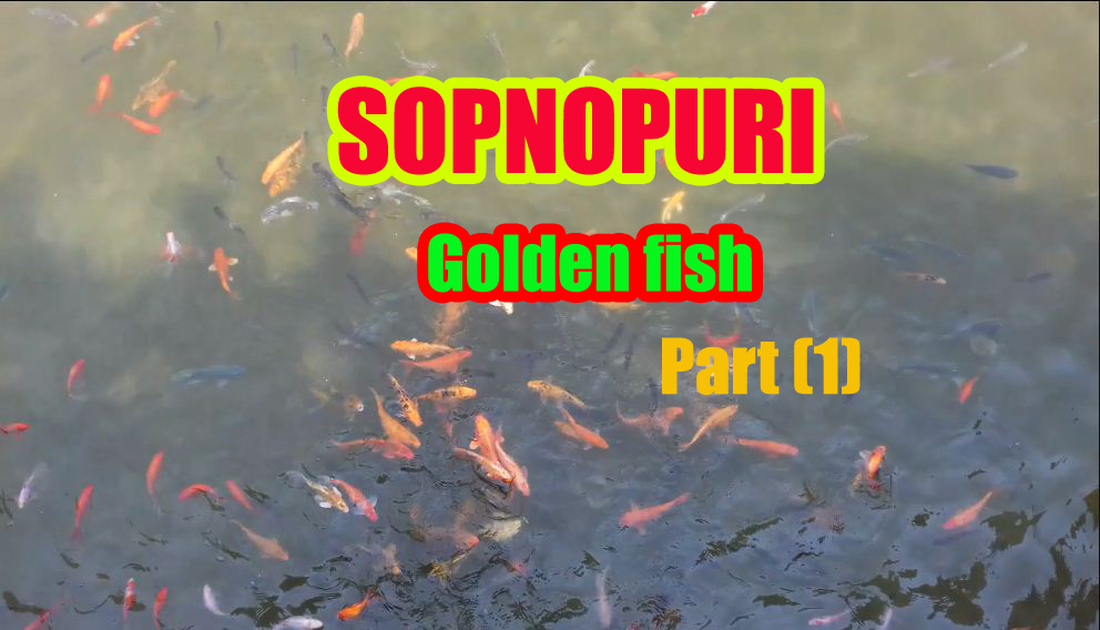 sopno. JPG